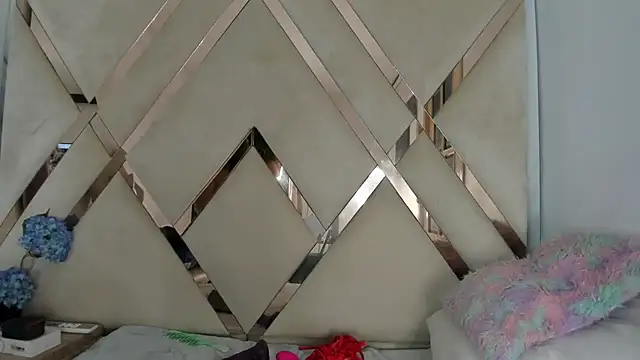 arixht webcam