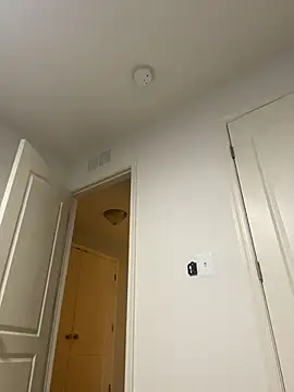 honeycombhalo webcam