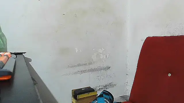 GordoChancludoSLP webcam