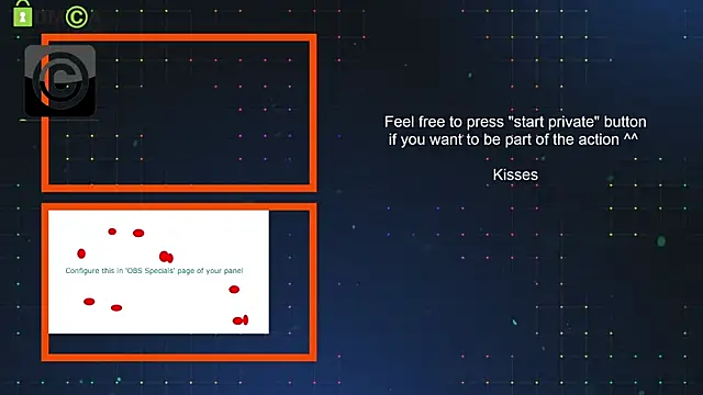 SilverMiss webcam