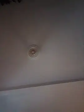 Amelia_3978 webcam