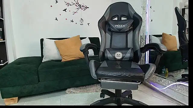 _Anais_Lanz webcam