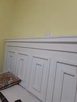 Aurora_lin webcam