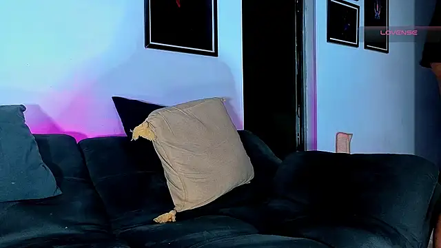 SilvaBranko webcam