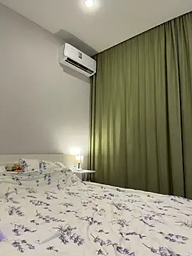 HermanFire webcam
