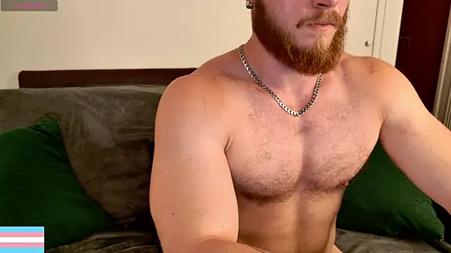 VictorTransMan webcam
