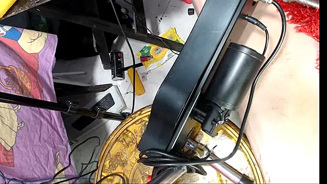 codorniz2025 webcam