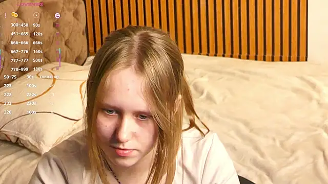 VoidElaris webcam