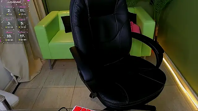 Karolisse webcam