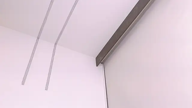 Eva-Apple webcam