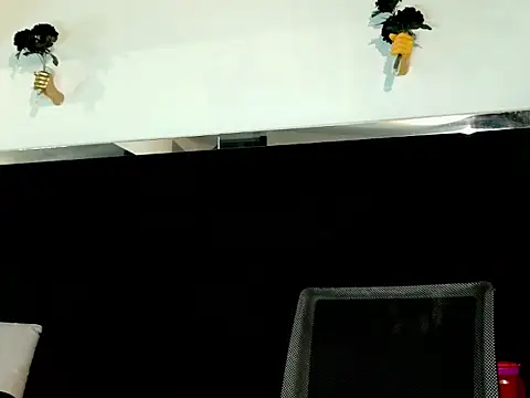 RafaelVander webcam