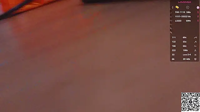GingerNova webcam