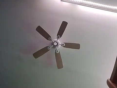 ReallyReallyReal webcam