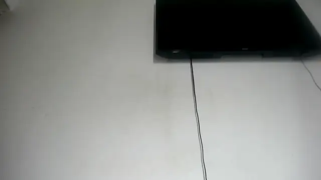 Fox_Loves webcam