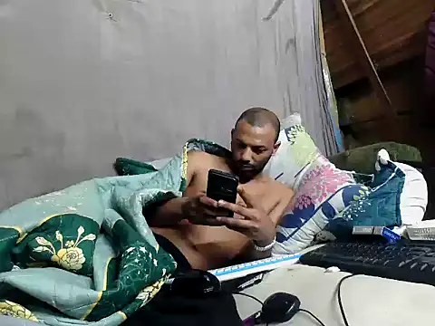 Camodick webcam