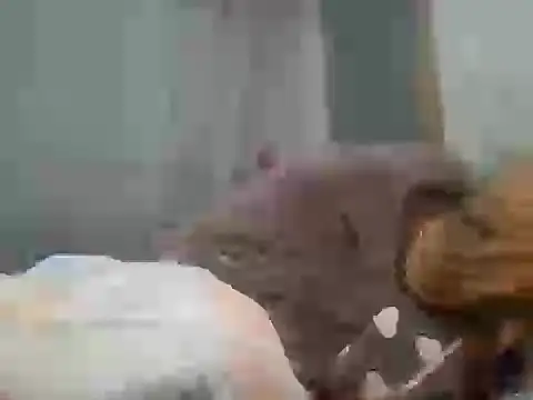 BustieMandy webcam