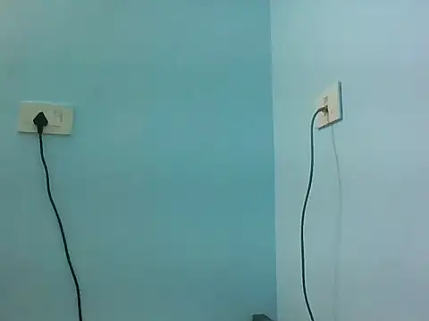 DecoyedMembrne webcam