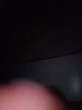 NiceBadgera webcam