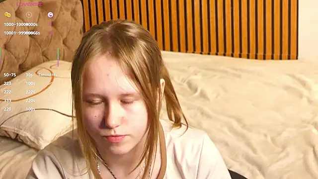 VoidElaris webcam
