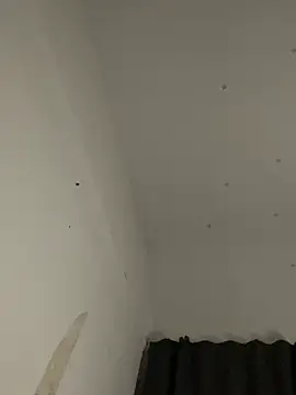 donya_star webcam