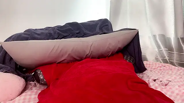 niblet77 webcam