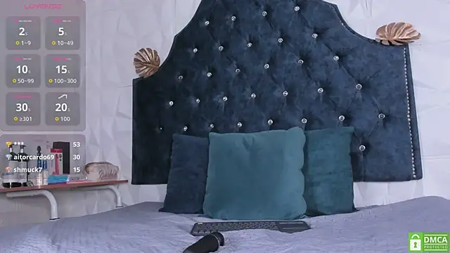 alisson_hall1 webcam