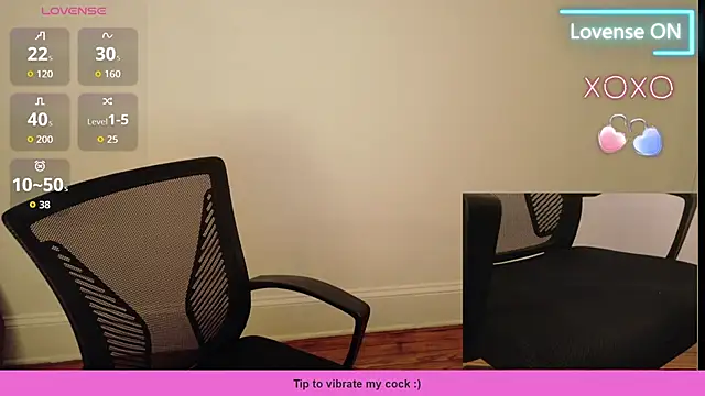 tsellieryder webcam
