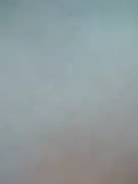 Ambionce webcam