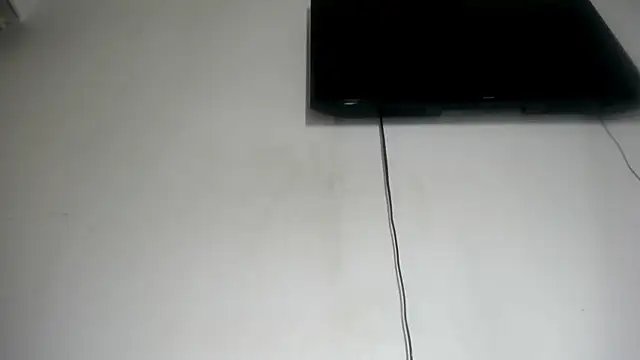 Fox_Loves webcam