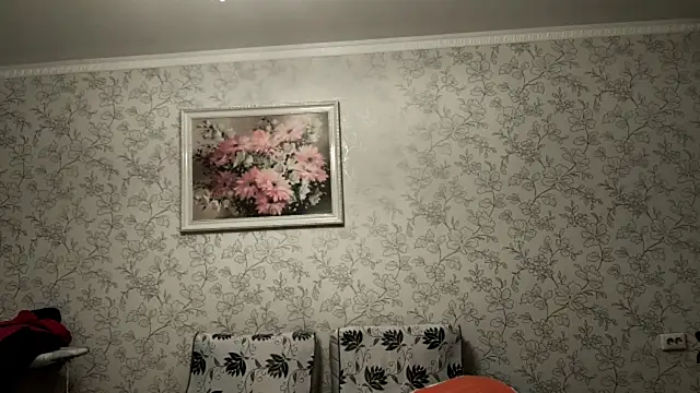 mintchill webcam