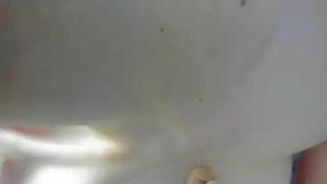 Amber_luz_hott webcam