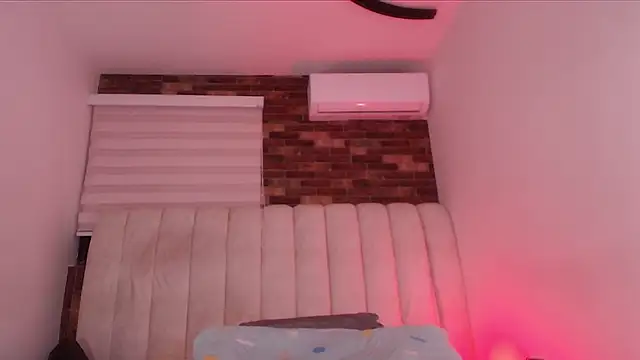 sofi_dv webcam