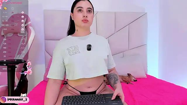 Imhann3 webcam