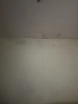 arabayla webcam
