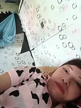 Sana-vn webcam