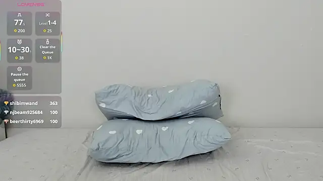 Kiraeko webcam