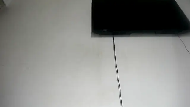 Fox_Loves