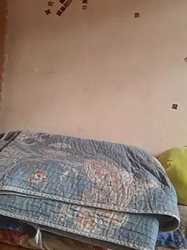 -Tara-a webcam