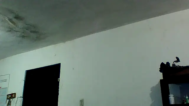 simpatico1000 live sex cam