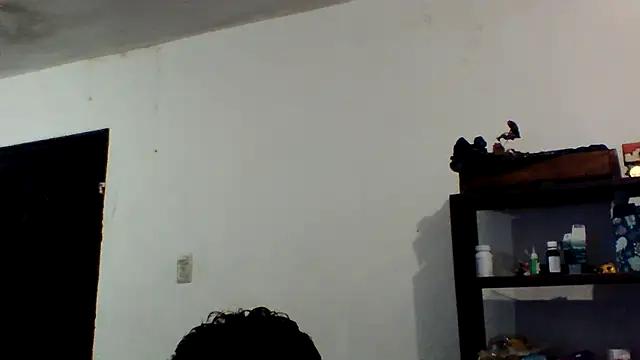 simpatico1000 webcam