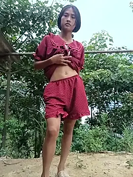 Hoa-tuylip webcam