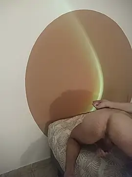 Bruninhodot webcam