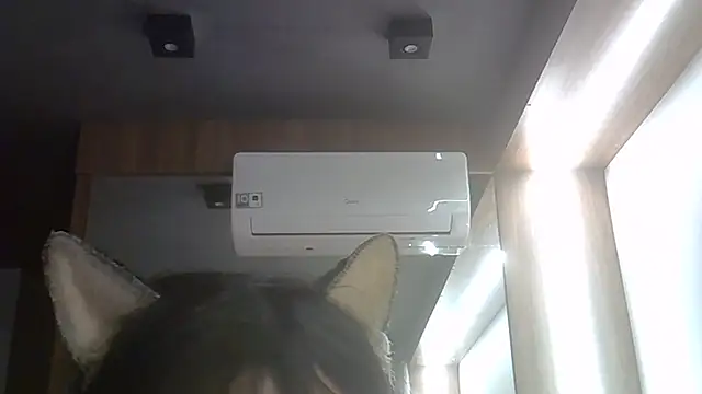 SkinnyKitten webcam