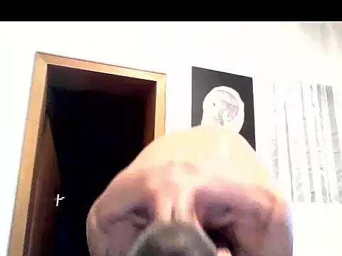 Cambitchboy webcam