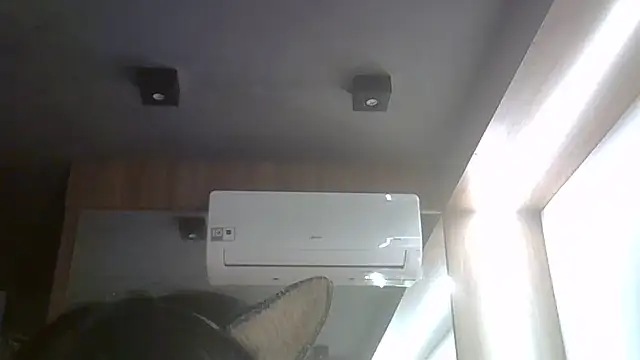 SkinnyKitten webcam