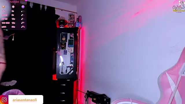 arisantana webcam