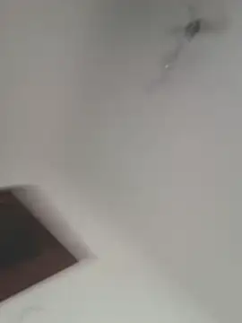 danko2979 webcam