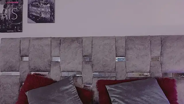 lixieross webcam