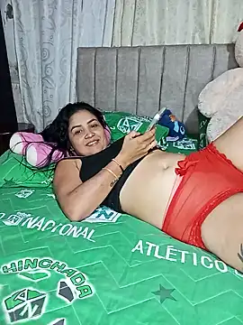 LuzDream webcam