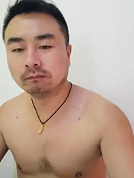 guozuo webcam